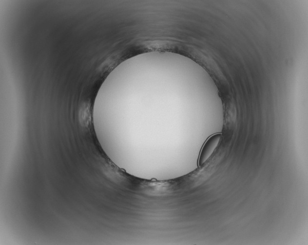 X0000112200478200908281443