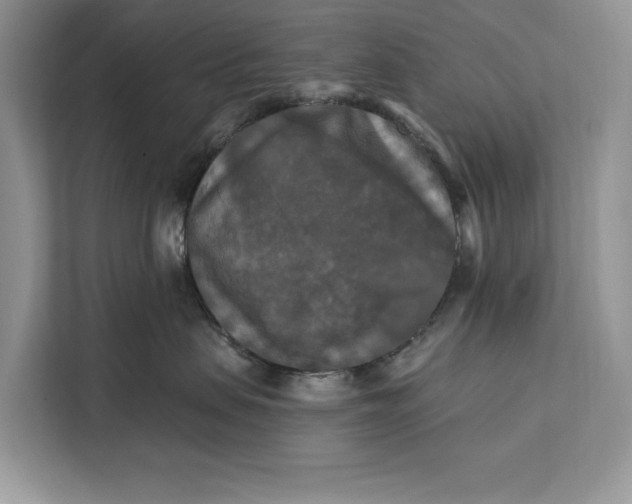 X0000112200479200908281443