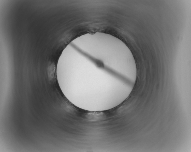 X0000112200480200908281443