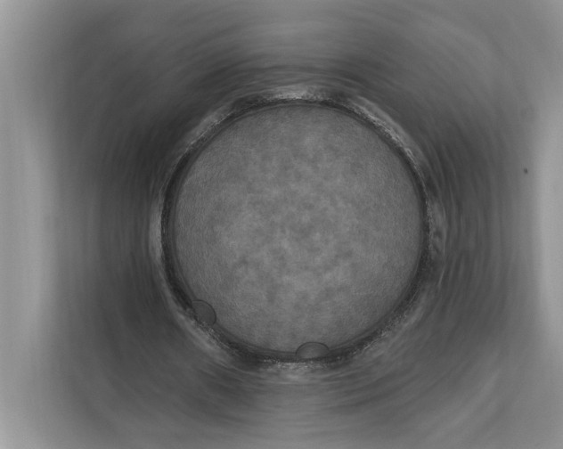 X0000112200482200908281442