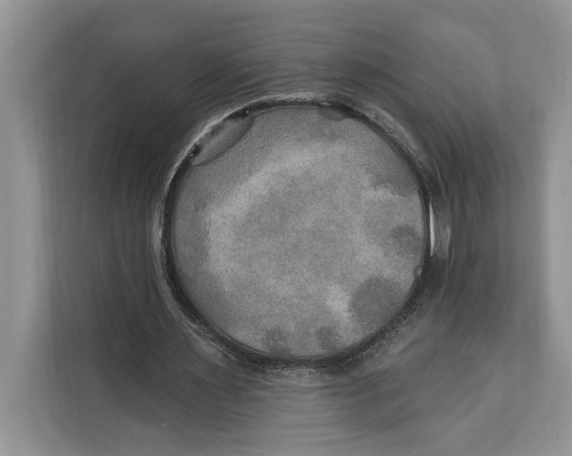 X0000112200483200908281442