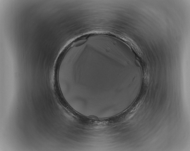 X0000112200484200908281442