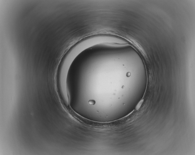 X0000112200485200908281442