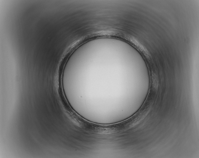 X0000112200486200908281442