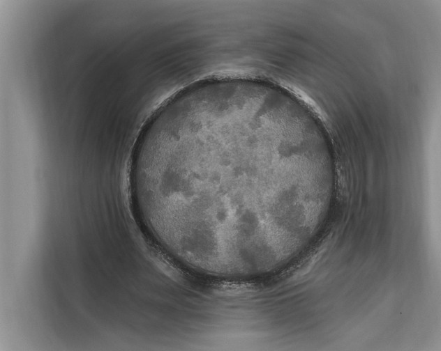 X0000112200487200908281442