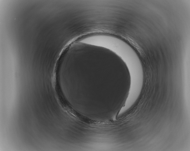 X0000112200488200908281442