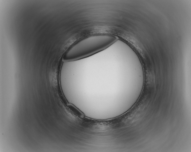 X0000112200489200908281442