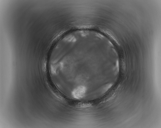 X0000112200491200908281442