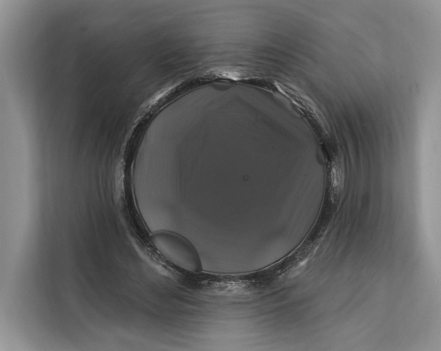 X0000112200492200908281442