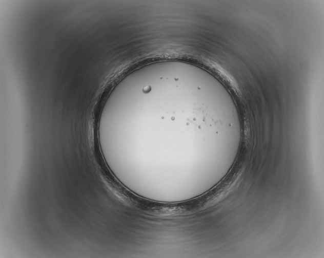 X0000112200493200908281442