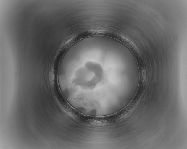 X0000112200494200908281442