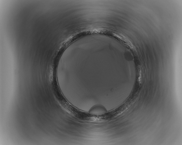 X0000112200496200908281442