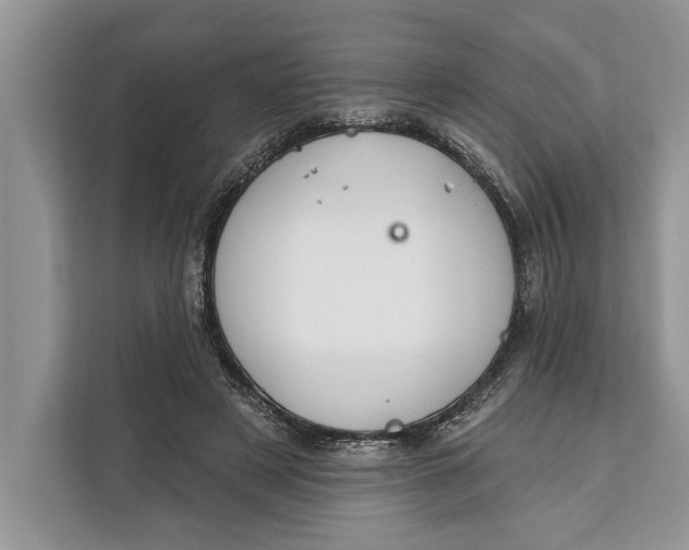 X0000112200497200908281442