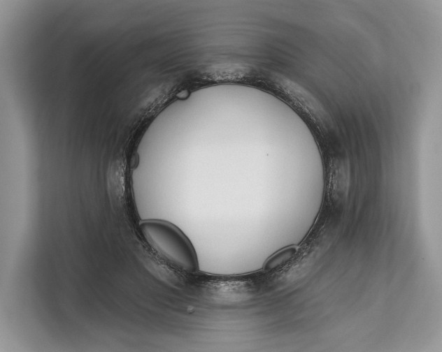 X0000112200501200908281442