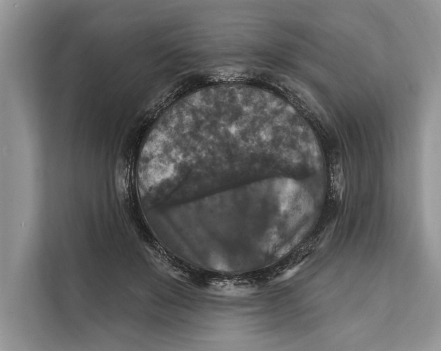 X0000112200503200908281442