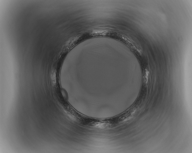 X0000112200504200908281442