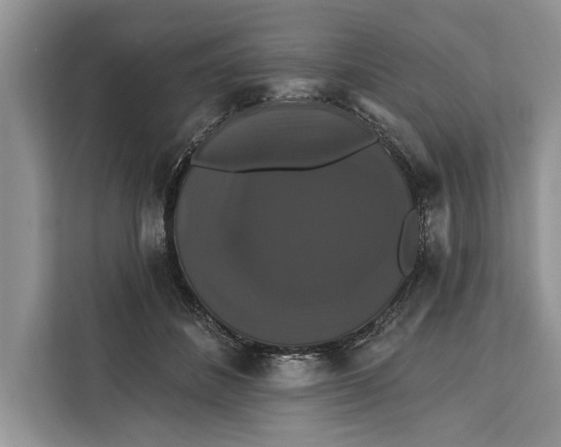 X0000112200508200908281442