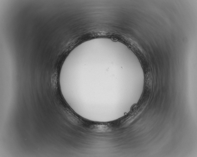 X0000112200509200908281442