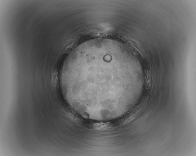 X0000112200511200908281442