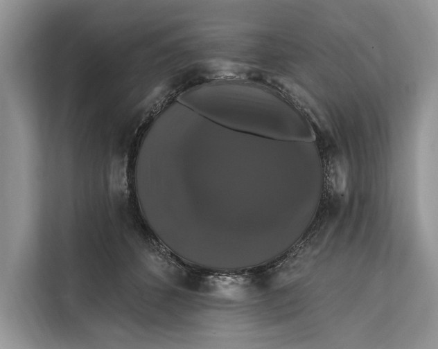 X0000112200512200908281442