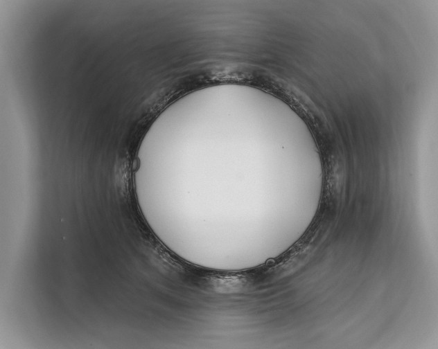 X0000112200513200908281442