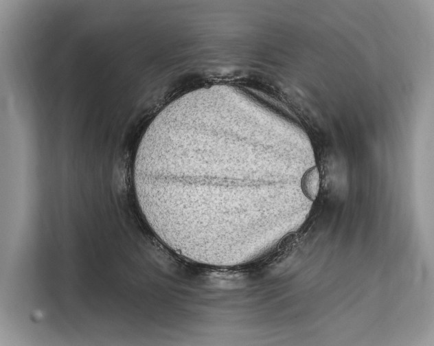 X0000112200515200908281442