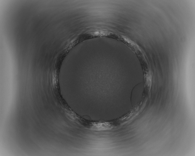 X0000112200517200908281442