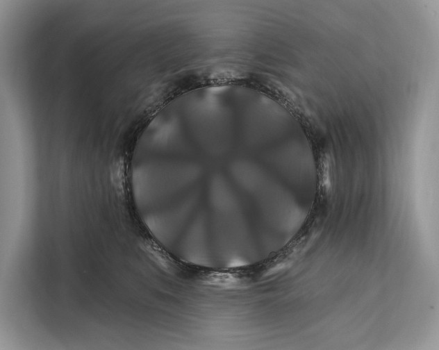 X0000112200519200908281442