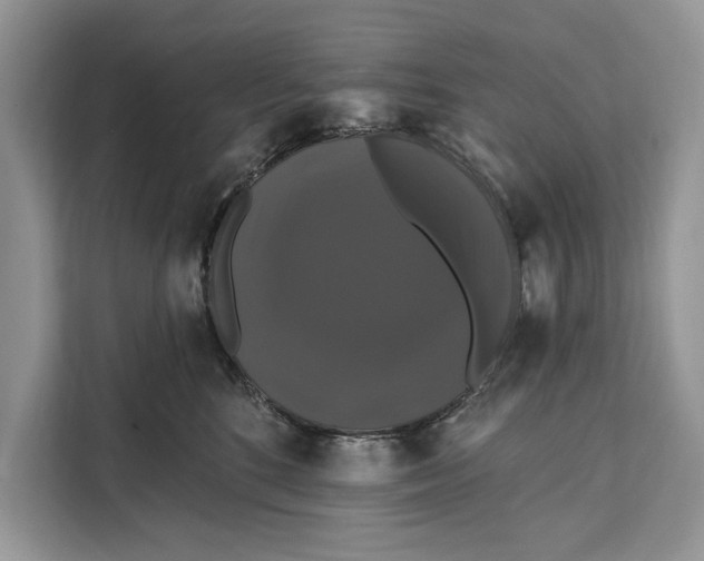 X0000112200520200908281442