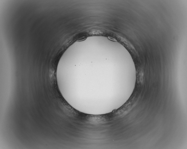 X0000112200521200908281442