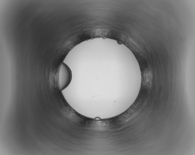 X0000112200522200908281442