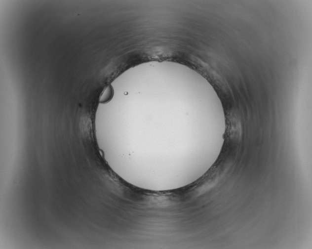 X0000112200523200908281442