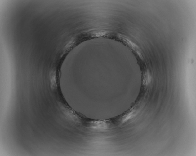 X0000112200524200908281442