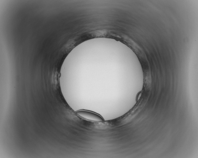 X0000112200525200908281442