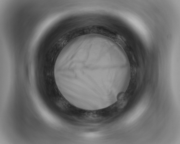 X0000112200526200908281442