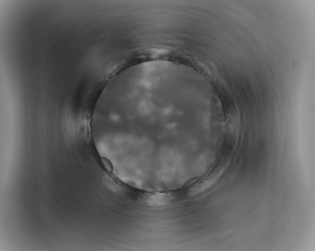 X0000112200527200908281442