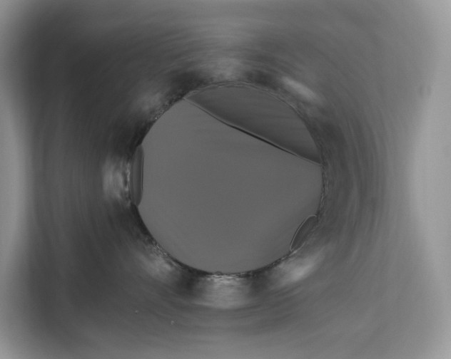 X0000112200528200908281442