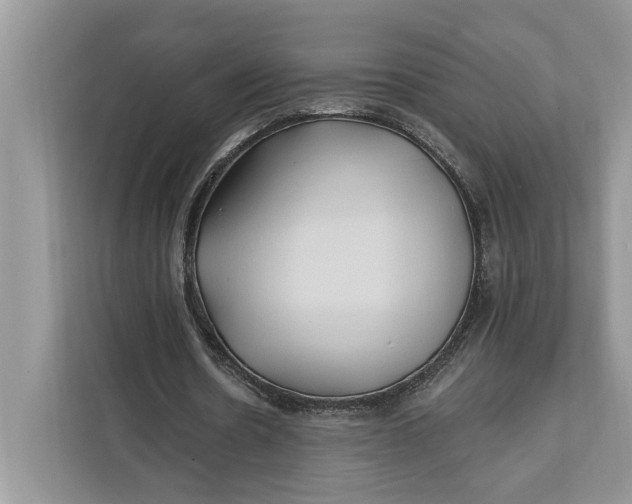 X0000112200530200908281441