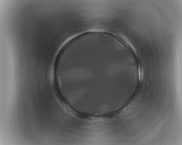 X0000112200531200908281441