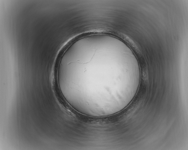 X0000112200532200908281441