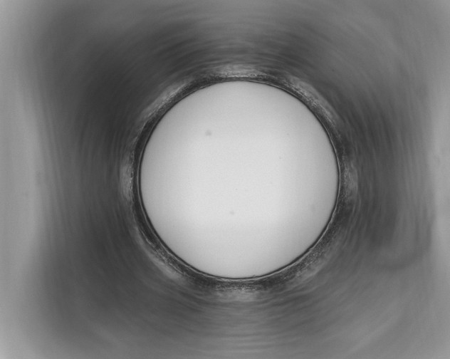 X0000112200533200908281441