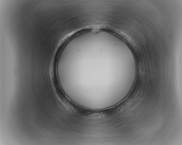 X0000112200536200908281441