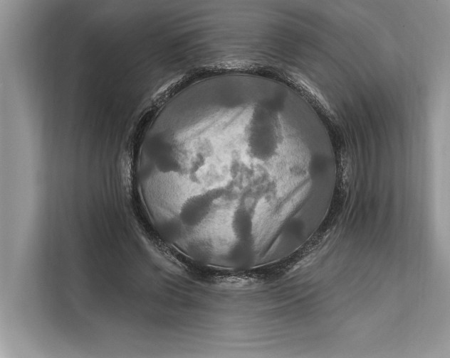 X0000112200542200908281441