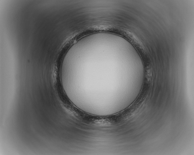 X0000112200544200908281441