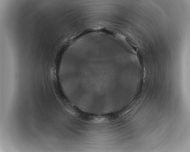 X0000112200547200908281441