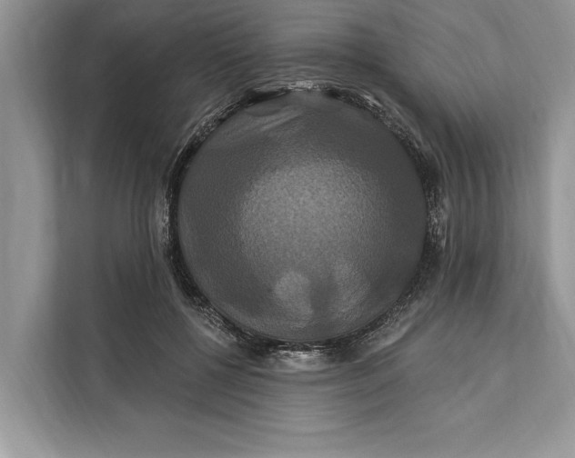 X0000112200552200908281441