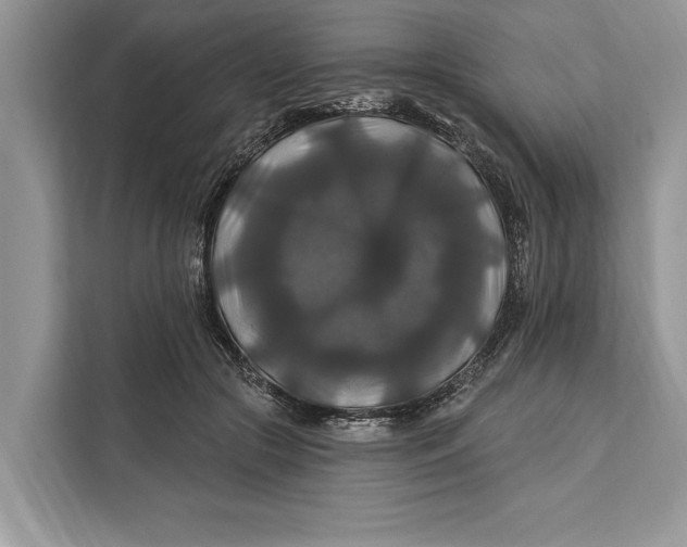 X0000112200553200908281441