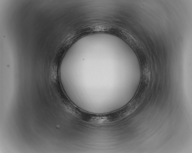 X0000112200554200908281441