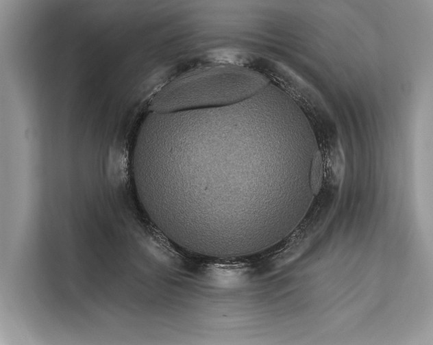 X0000112200556200908281441