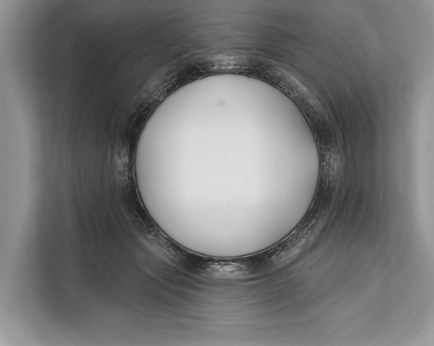 X0000112200557200908281441